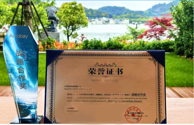   喜報(bào)：江蘇海龍榮獲吉利汽車2024年度供應(yīng)商“戰(zhàn)略合作獎(jiǎng)”？